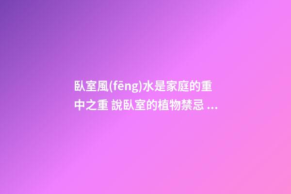 臥室風(fēng)水是家庭的重中之重 說臥室的植物禁忌 有刺植物更不宜擺在